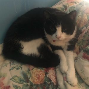 Meet your Posher, Meredith